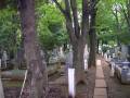 zoushigayareien-s-006