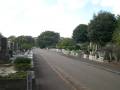 tamareien-s-005