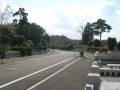 tamareien-s-006
