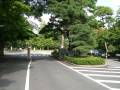 tamareien-s-001