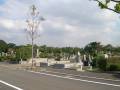 tamareien-s-004